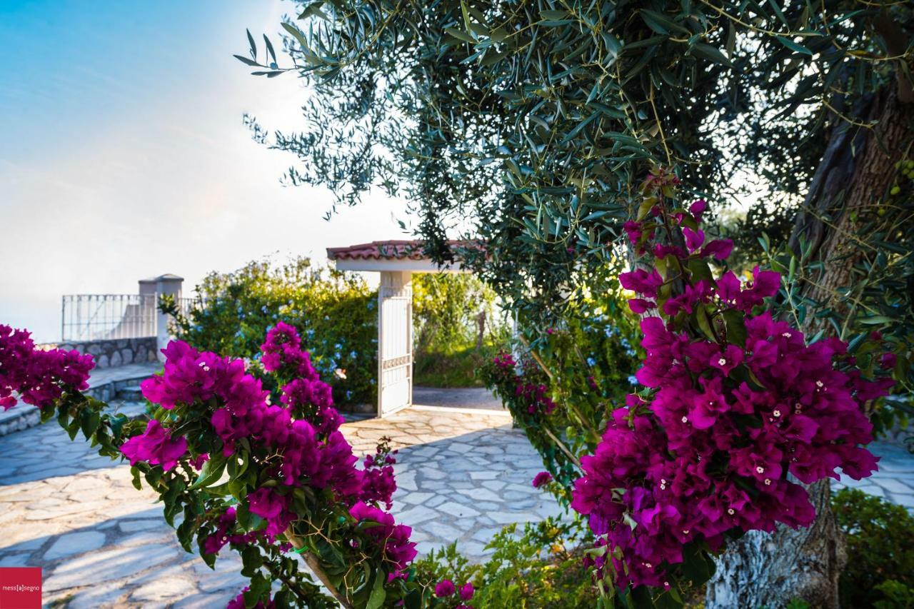 Il Nibbio Apartment Piano di Sorrento Exterior photo