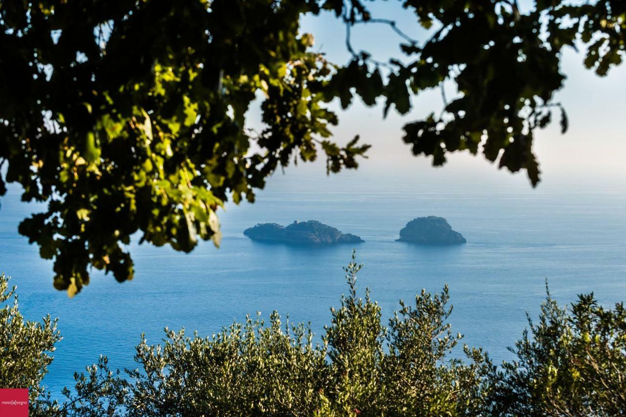 Il Nibbio Apartment Piano di Sorrento Exterior photo